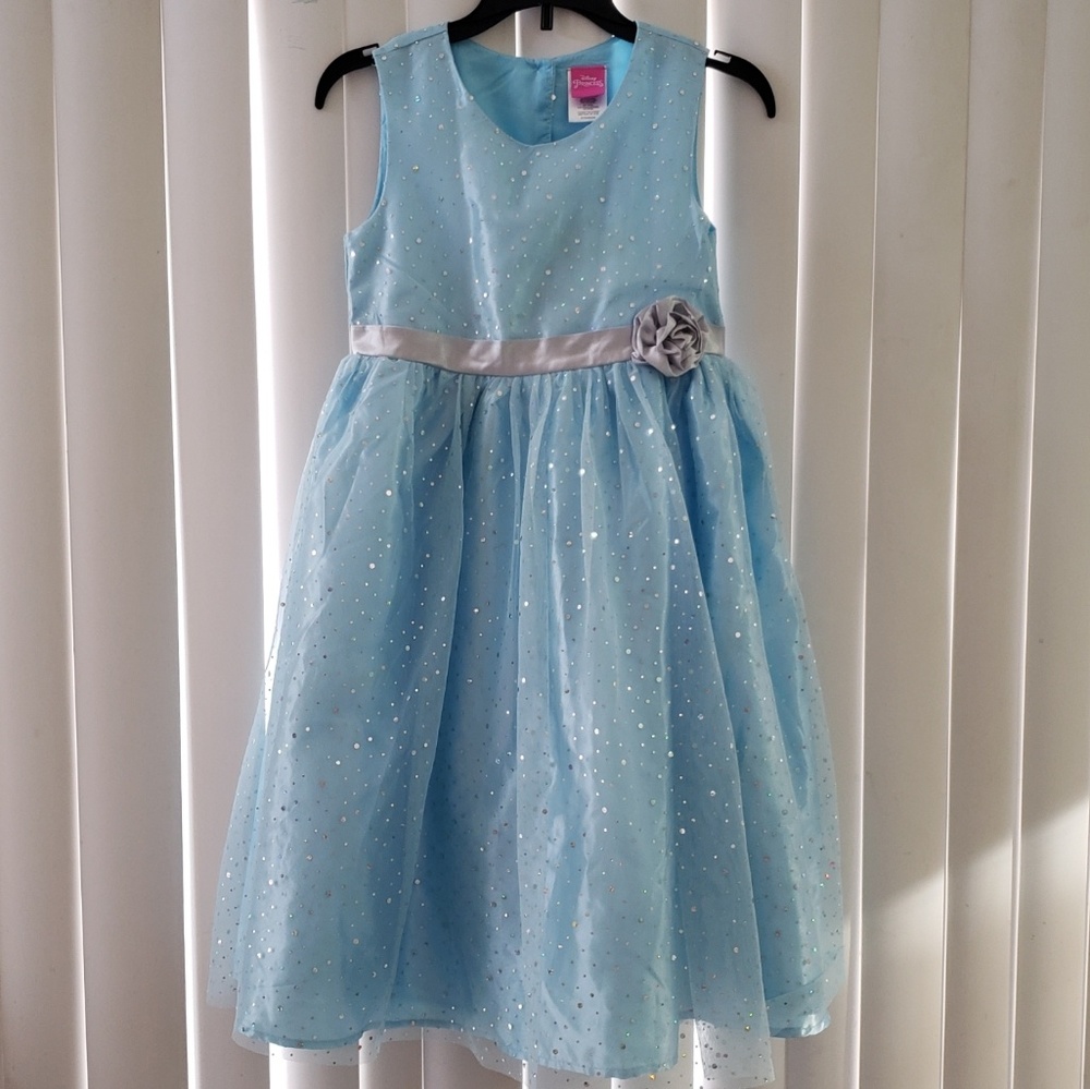 Disney princess dress